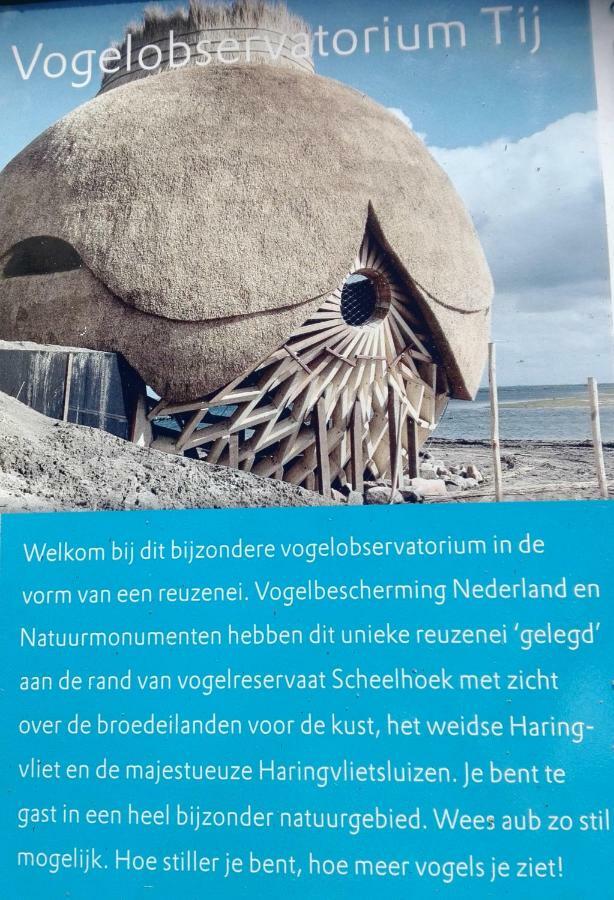 Klepperstee Esdoorn 3 Villa Ouddorp Exterior foto